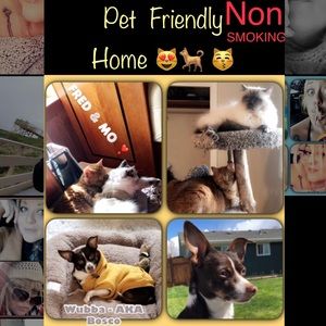 PET FRIENDLY NON-SMOKING HOME